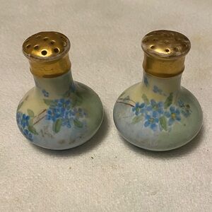 Hand painted porcelain salt & pepper Germany
